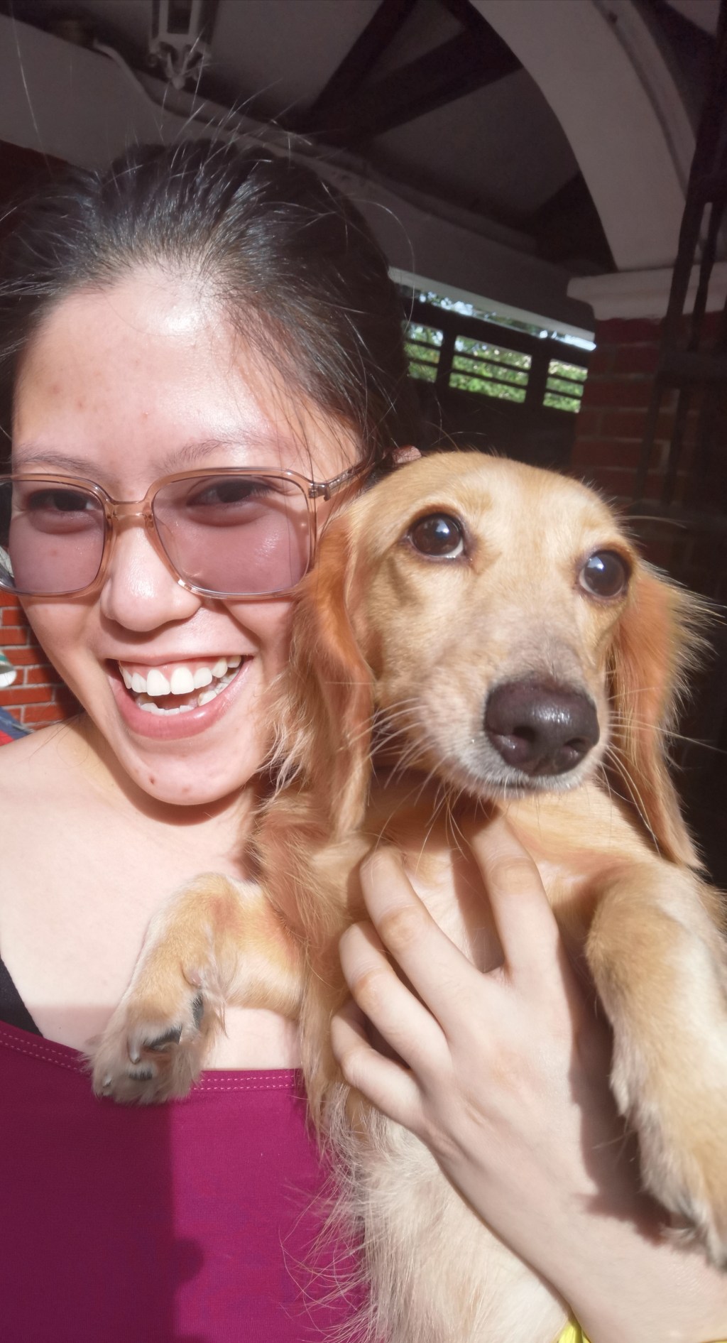 Ten reasons why you should have a&nbsp;dog