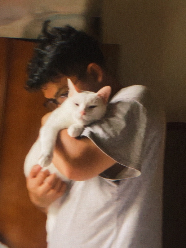 The cat who made my husband brave